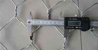 High Quality of Gabion Basket / Hot Dipped Galvanized Gabion Box /Hexagonal Gabion for Dam