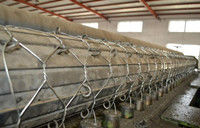 3x1x0.5 Gabion Box/Gabion Mesh/Welded Gabion Box/Gabion (Direct factory)