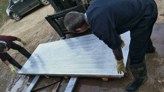 High Quality Stainless Steel Perforated Metal Sheet for Ceiling/Decoration/Filtration/Sieve