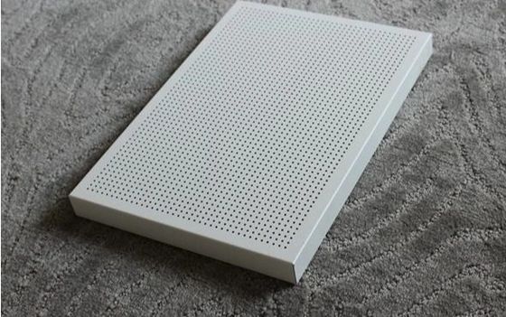 stainless steel Decoration Perforated Metal Mesh/Sheet Ceiling/Filtration/Sieve/Wall Cladding/Sound Insulation