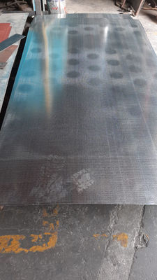 stainless steel Decoration Perforated Metal Mesh/Sheet Ceiling/Filtration/Sieve/Wall Cladding/Sound Insulation