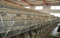 2.7mm/3.4mm  hot dipped Galvanized Gabion Box /gabion mesh/gabion mattress with 270g /m2